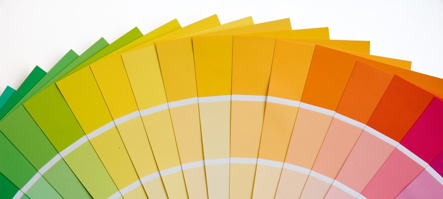 März-Kolumne: Suzanne Oosterom