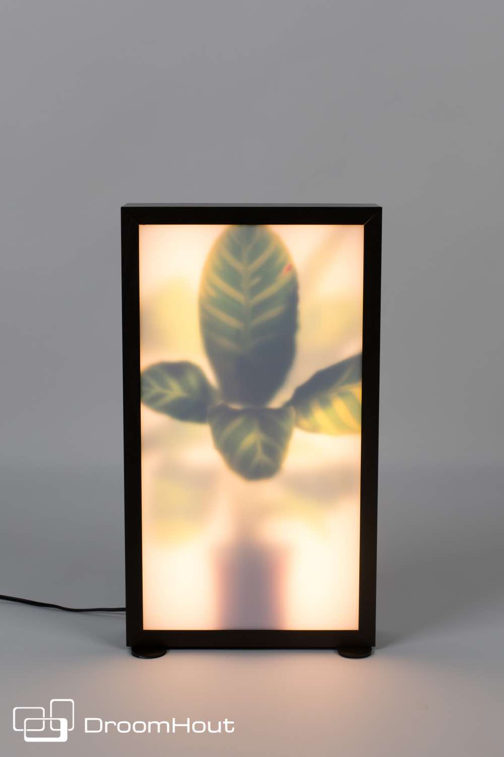 Vloerlamp Zuiver Grow