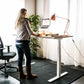 Verstelbaar zit sta bureau elektrisch Manhattan