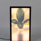 Vloerlamp Zuiver Grow